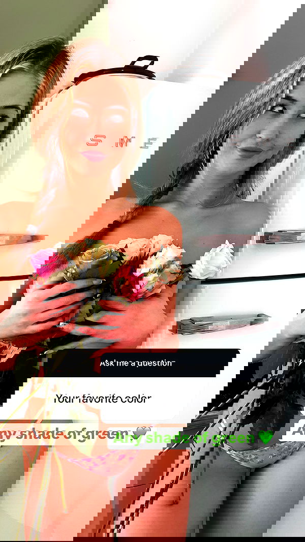 bakedsloths bakedsloths archive image