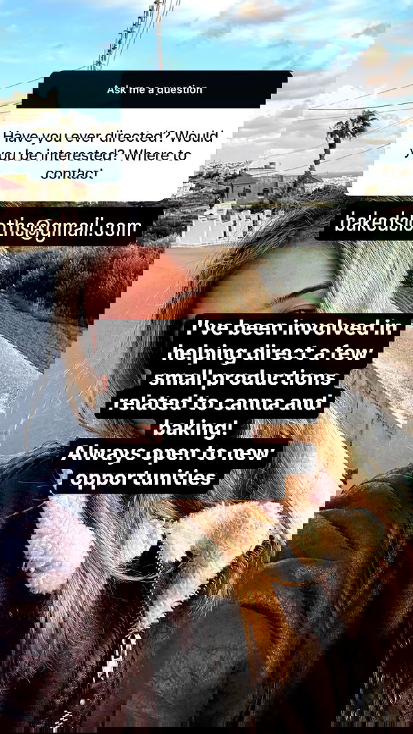 bakedsloths bakedsloths archive image