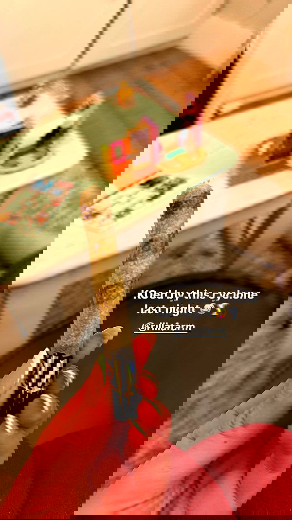 bakedsloths bakedsloths archive image