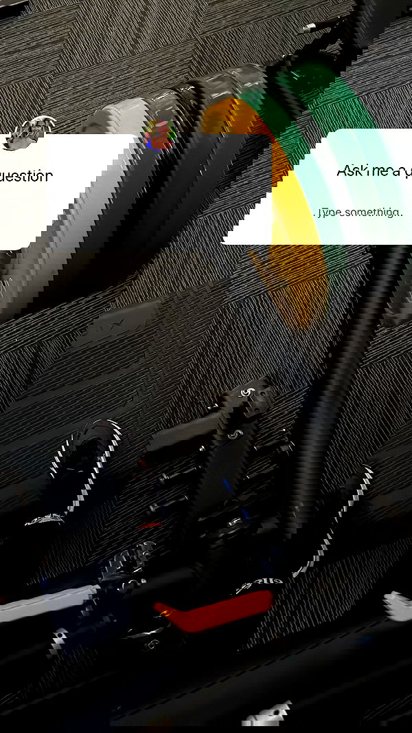 bakedsloths bakedsloths archive image