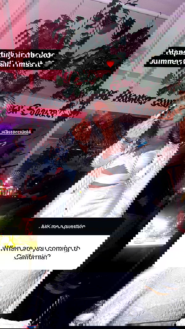 bakedsloths bakedsloths archive image