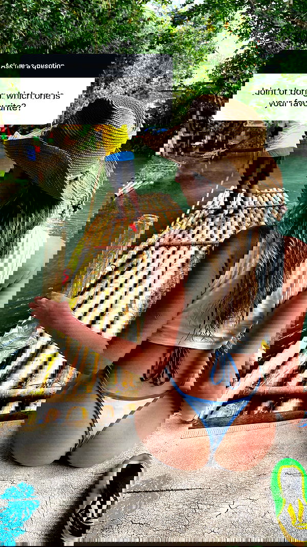 bakedsloths bakedsloths archive image