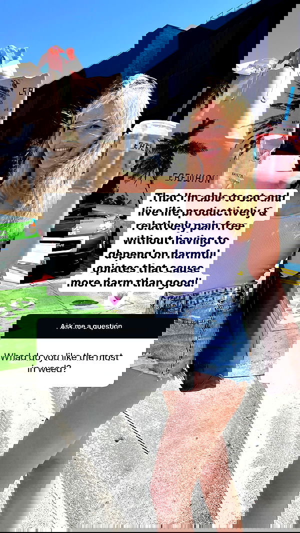 bakedsloths bakedsloths archive image