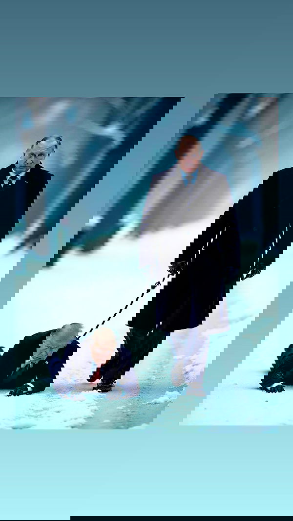 bakedsloths bakedsloths archive image