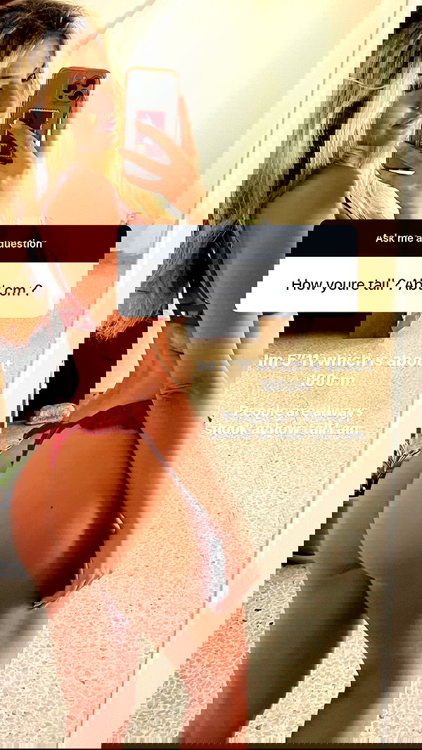 bakedsloths bakedsloths archive image