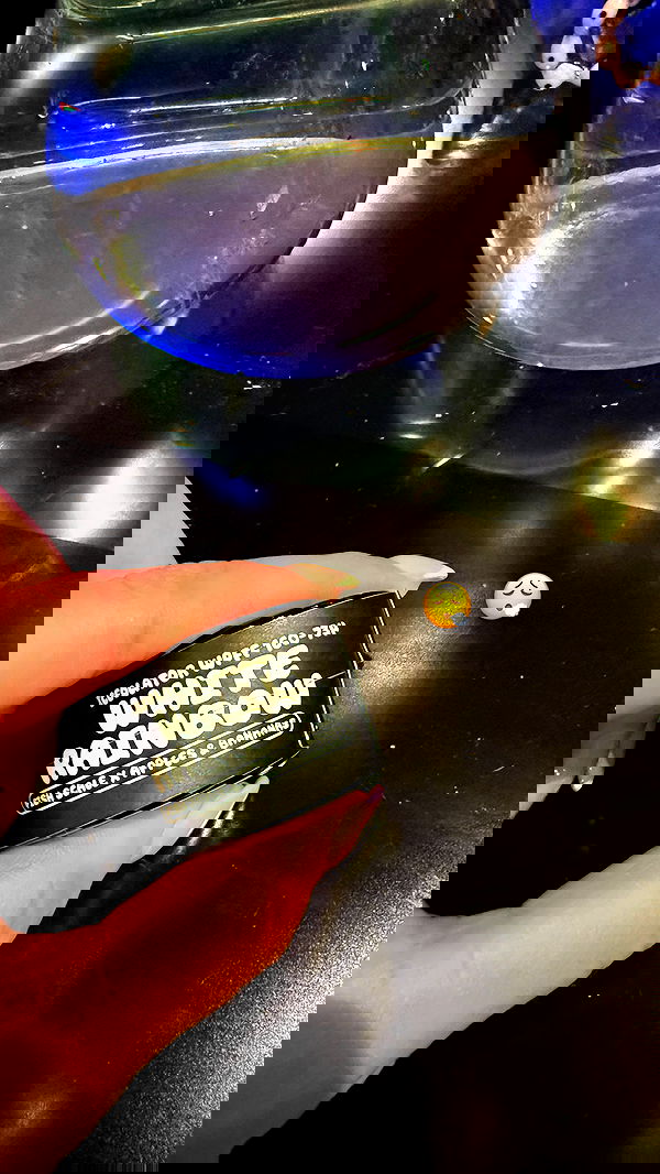 bakedsloths bakedsloths archive image