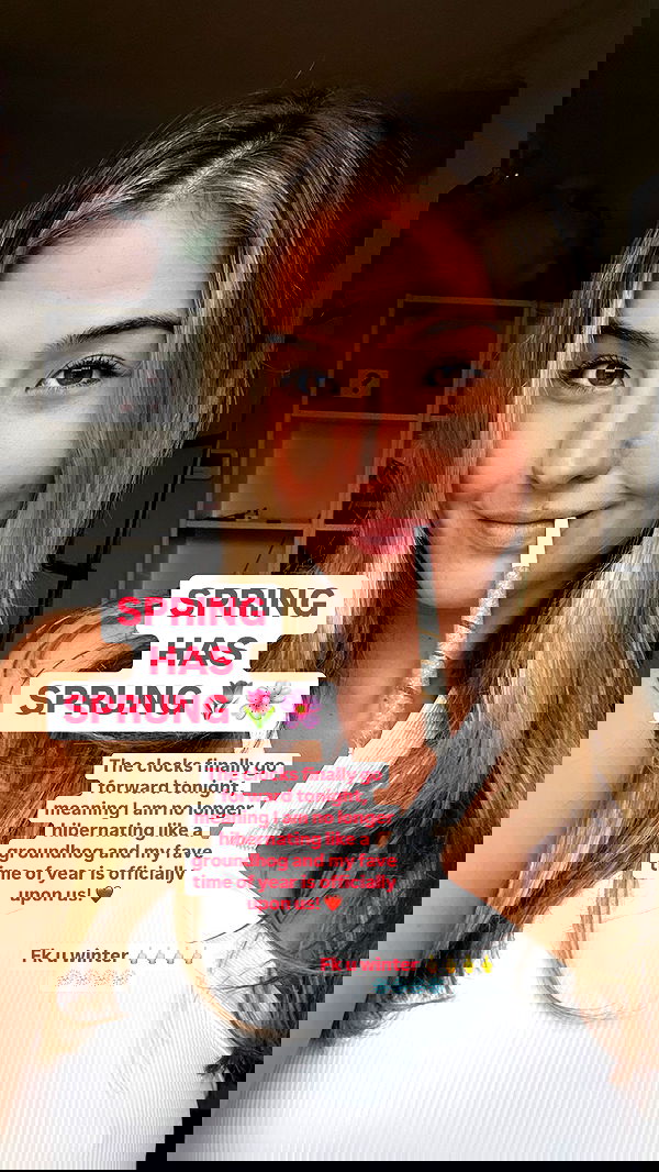 bakedsloths bakedsloths archive image