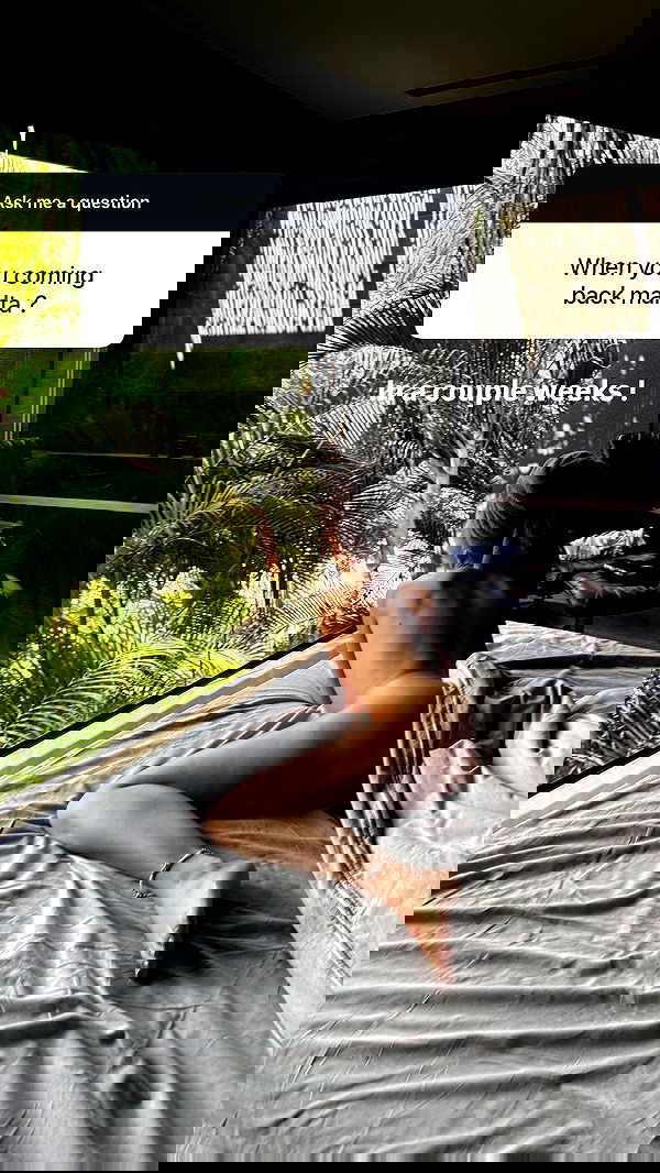 bakedsloths bakedsloths archive image