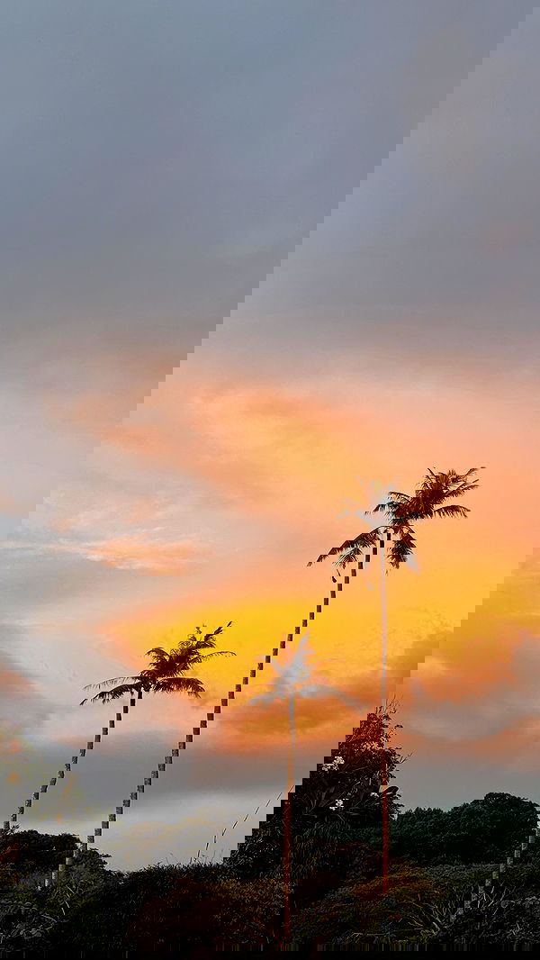 bakedsloths bakedsloths archive image