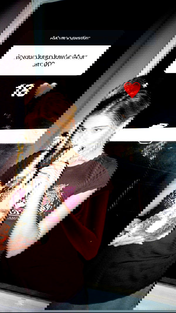 bakedsloths bakedsloths archive image