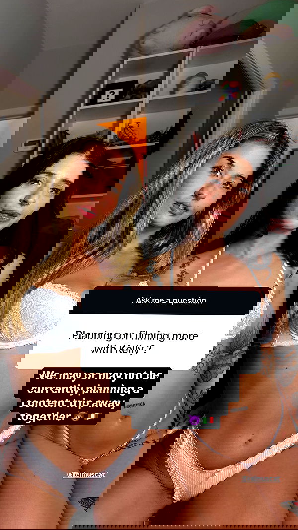 bakedsloths bakedsloths archive image