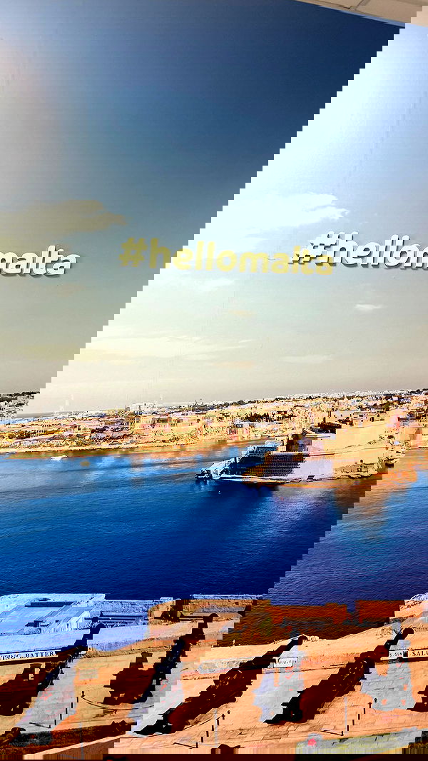 bakedsloths bakedsloths archive image