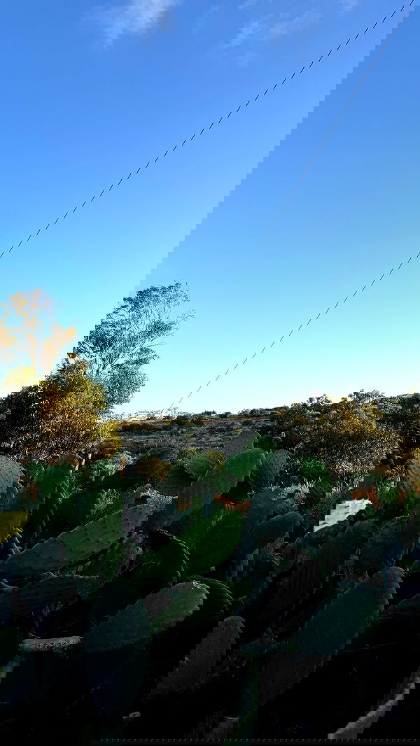 bakedsloths bakedsloths archive image