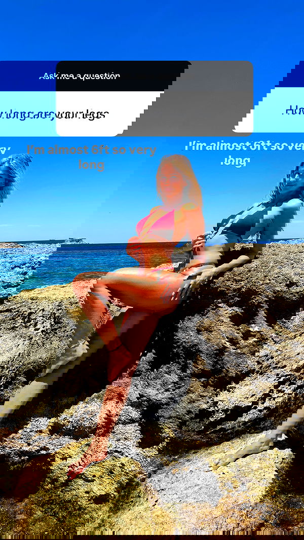 bakedsloths bakedsloths archive image