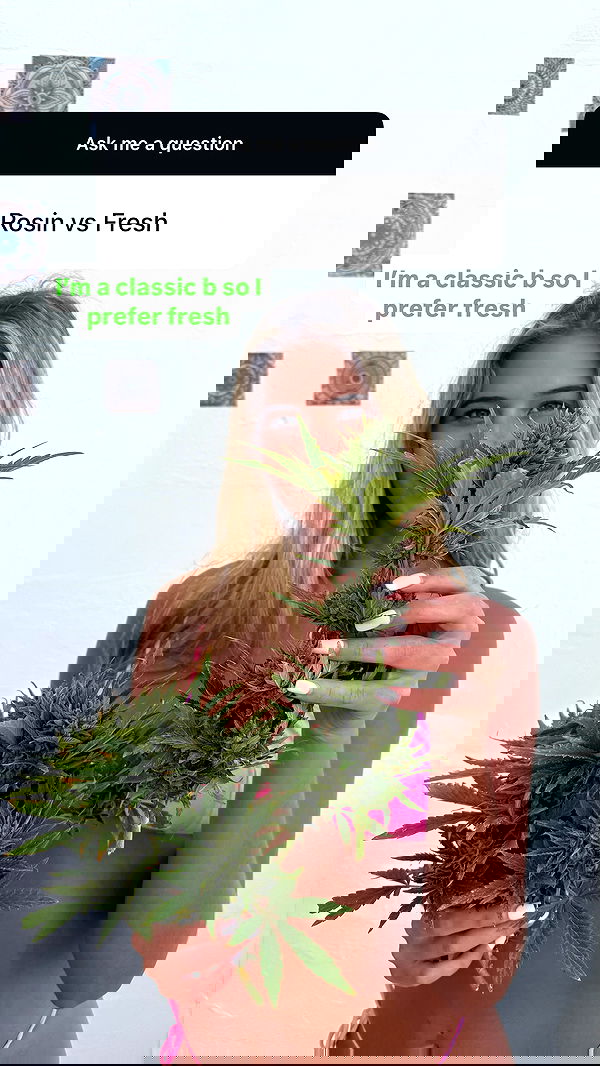 bakedsloths bakedsloths archive image