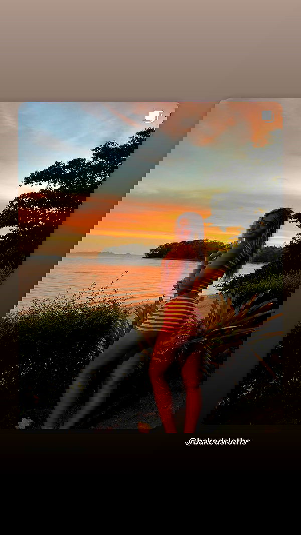 bakedsloths bakedsloths archive image