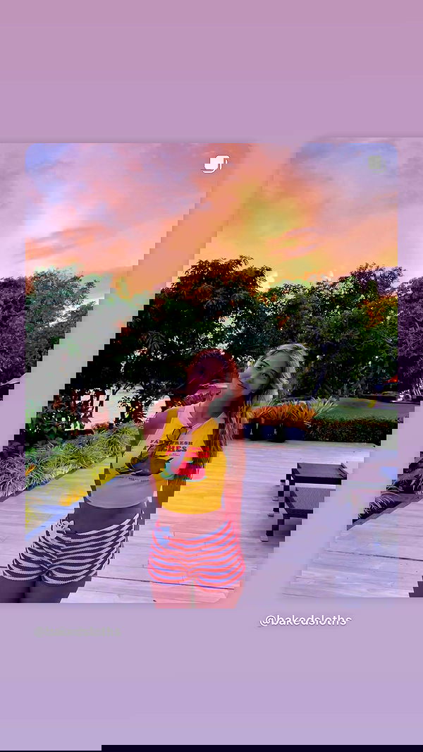 bakedsloths bakedsloths archive image