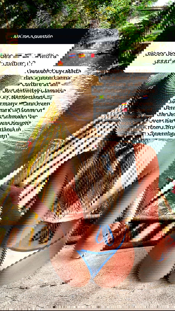 bakedsloths bakedsloths archive image