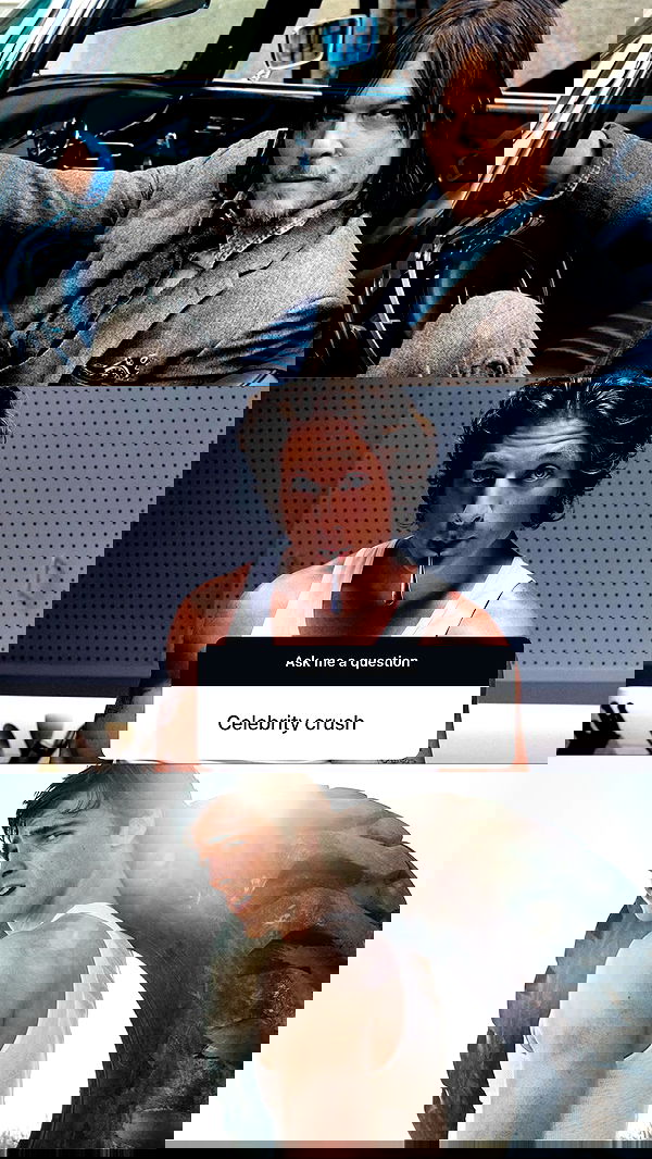 bakedsloths bakedsloths archive image