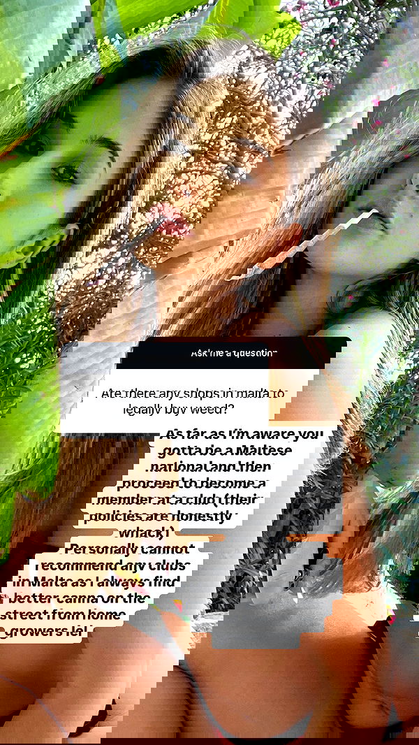 bakedsloths bakedsloths archive image