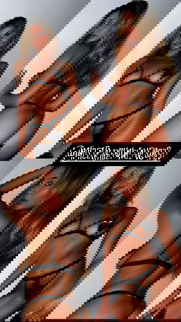 bakedsloths bakedsloths archive image