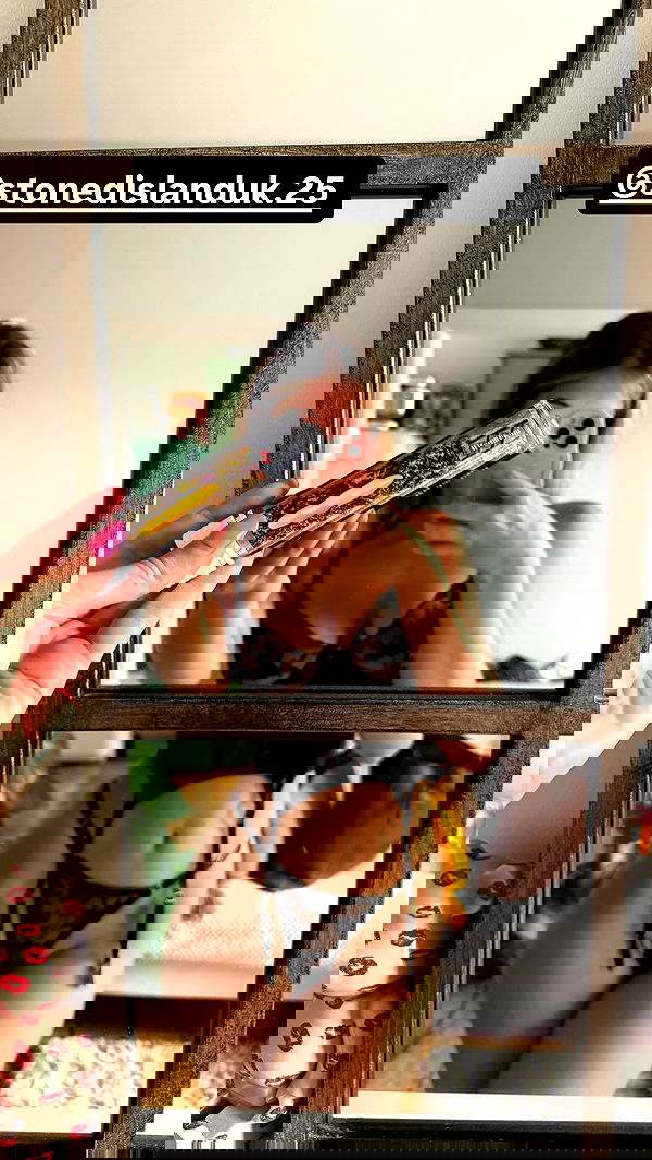 bakedsloths bakedsloths archive image