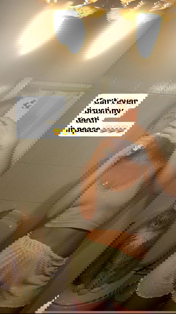 bakedsloths bakedsloths archive image