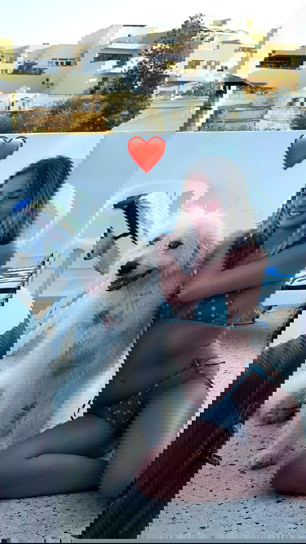 bakedsloths bakedsloths archive image