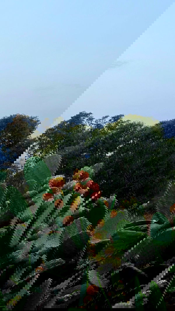 bakedsloths bakedsloths archive image