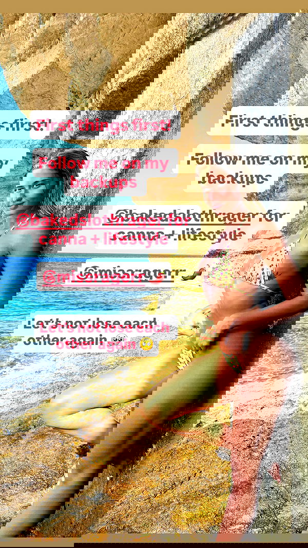 bakedsloths bakedsloths archive image