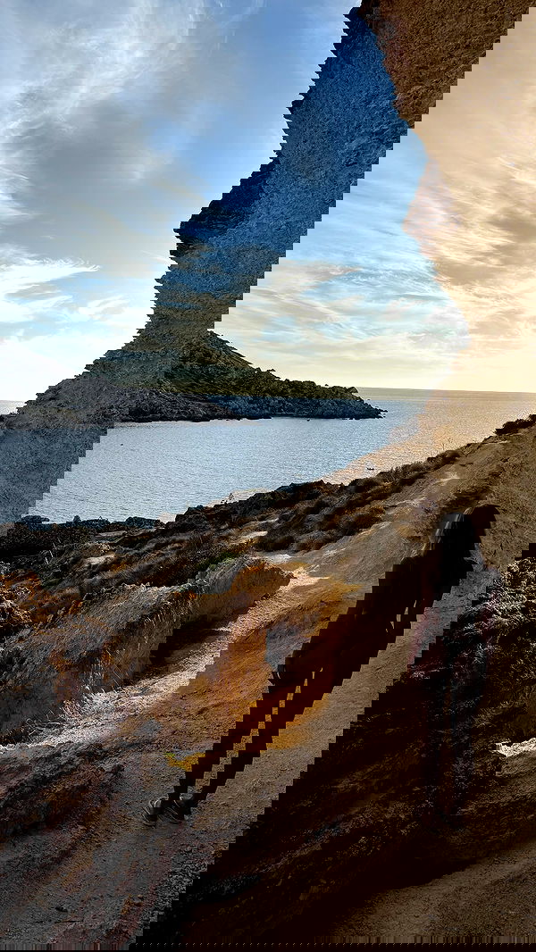 bakedsloths bakedsloths archive image