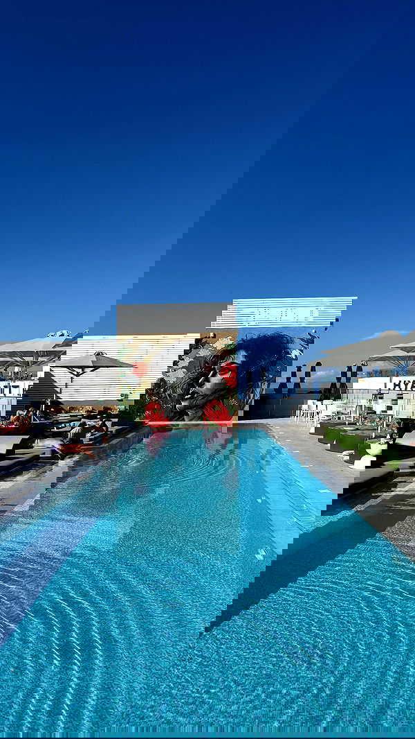 bakedsloths bakedsloths archive image