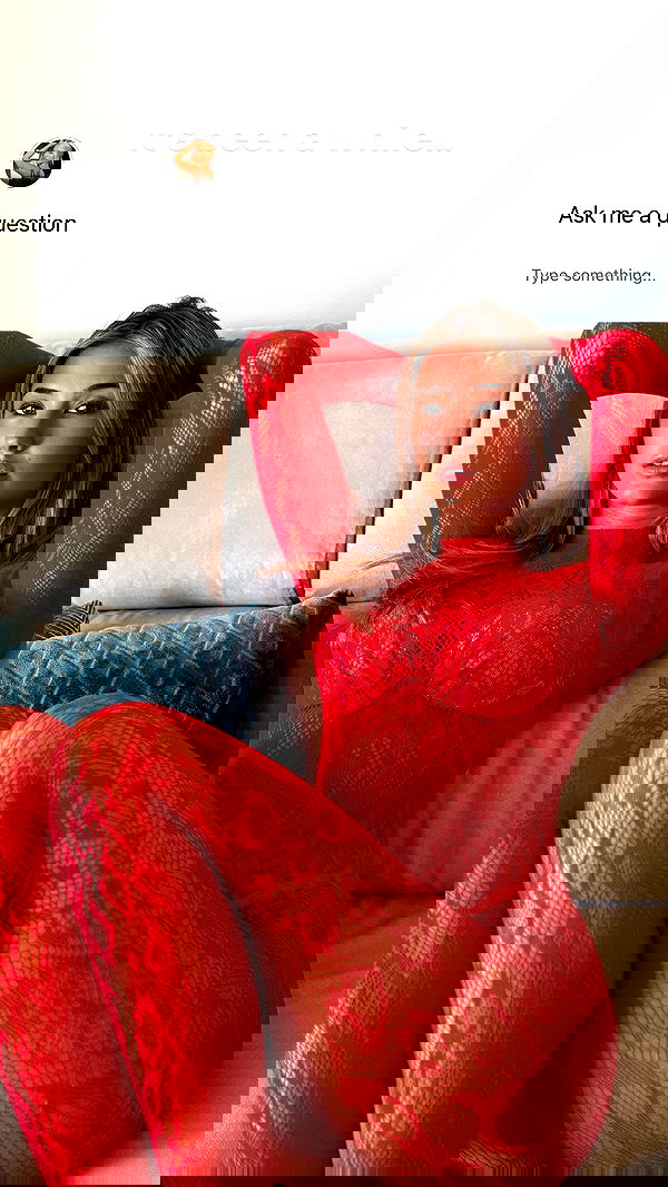 bakedsloths bakedsloths archive image