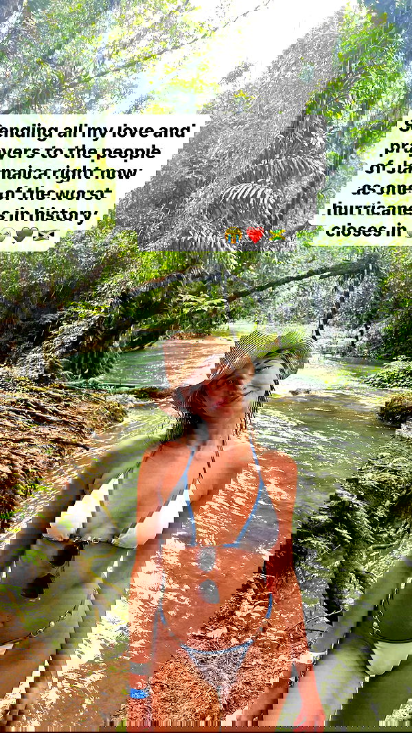 bakedsloths bakedsloths archive image