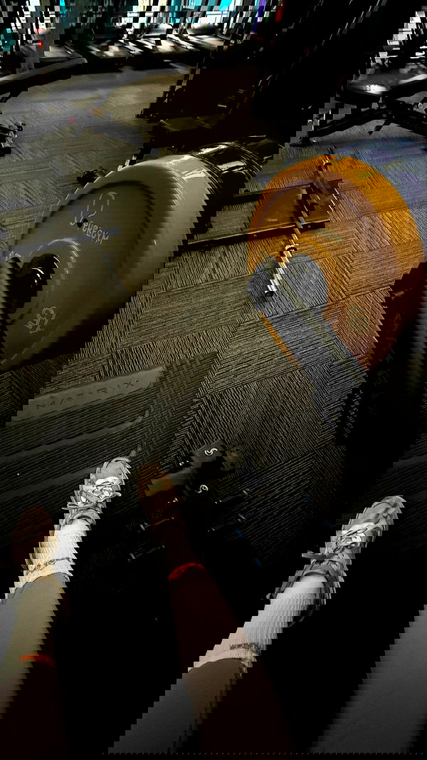 bakedsloths bakedsloths archive image