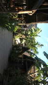 bar.itach1 Altpins Profile Picture