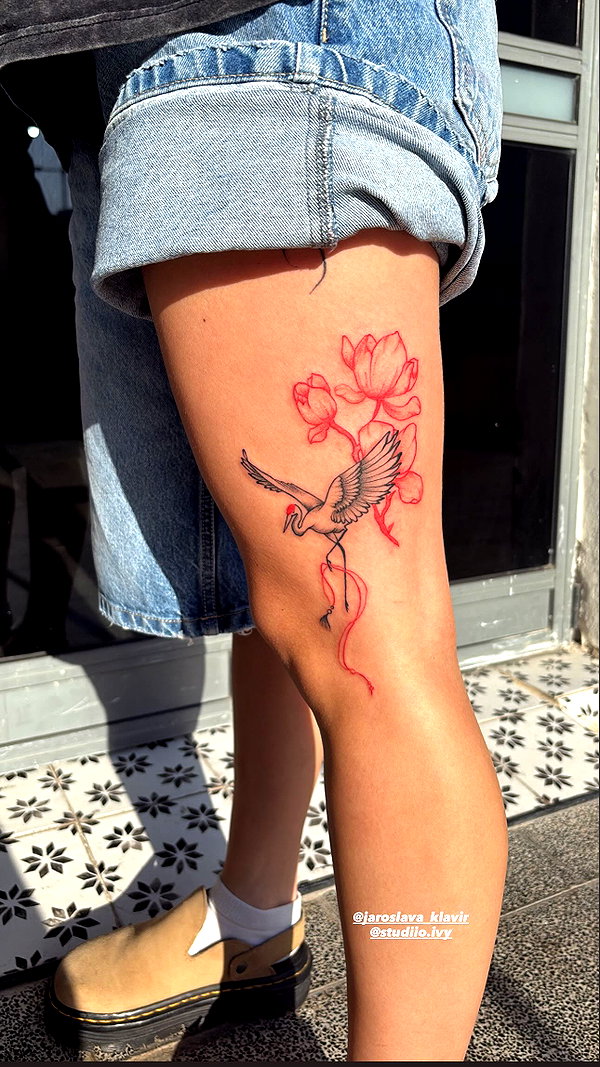 bar.tattss bar.tattss archive image