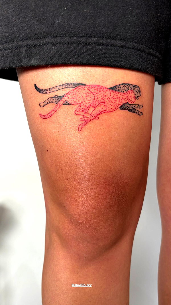 bar.tattss bar.tattss archive image