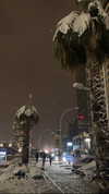 barbaepapa Altpins Profile Picture