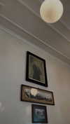 barbaepapa Altpins Profile Picture