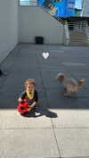barbaepapa Altpins Profile Picture