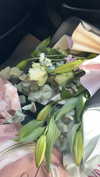 barbaepapa Altpins Profile Picture