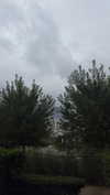 barbaepapa Altpins Profile Picture