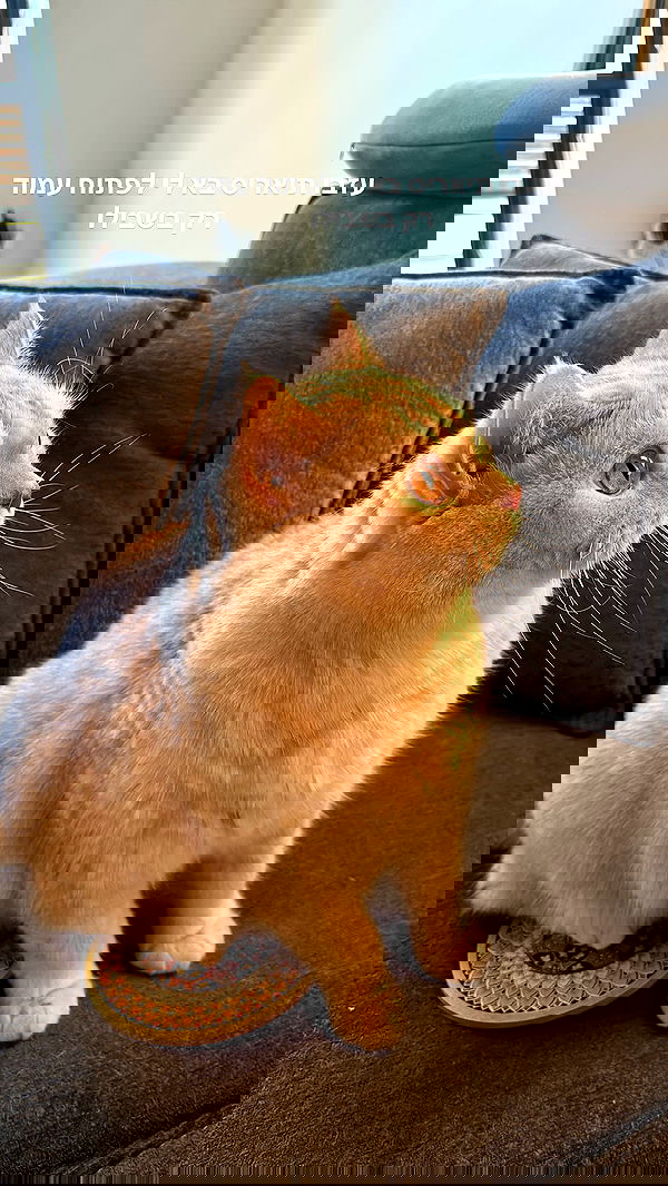 bbyerikss bbyerikss archive image