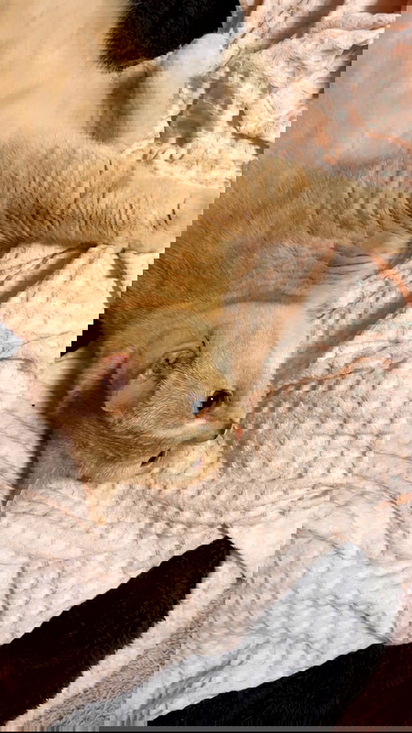 bbyerikss bbyerikss archive image