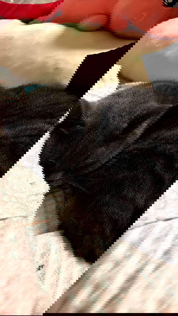 bbyerikss bbyerikss archive image