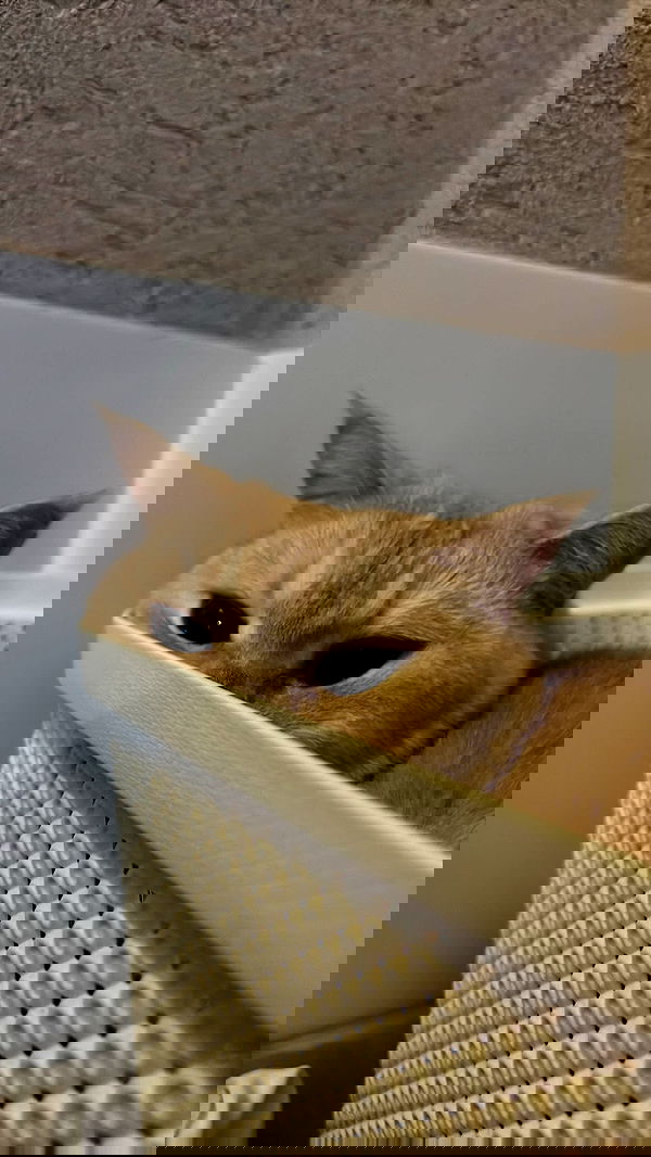 bbyerikss bbyerikss archive image