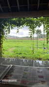 bec_benstead Altpins Profile Picture