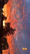 bec_benstead Altpins Profile Picture