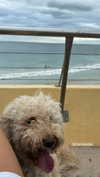 bec_benstead Altpins Profile Picture